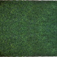 Boxwood Walls