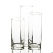 Glass Hurricane Vases