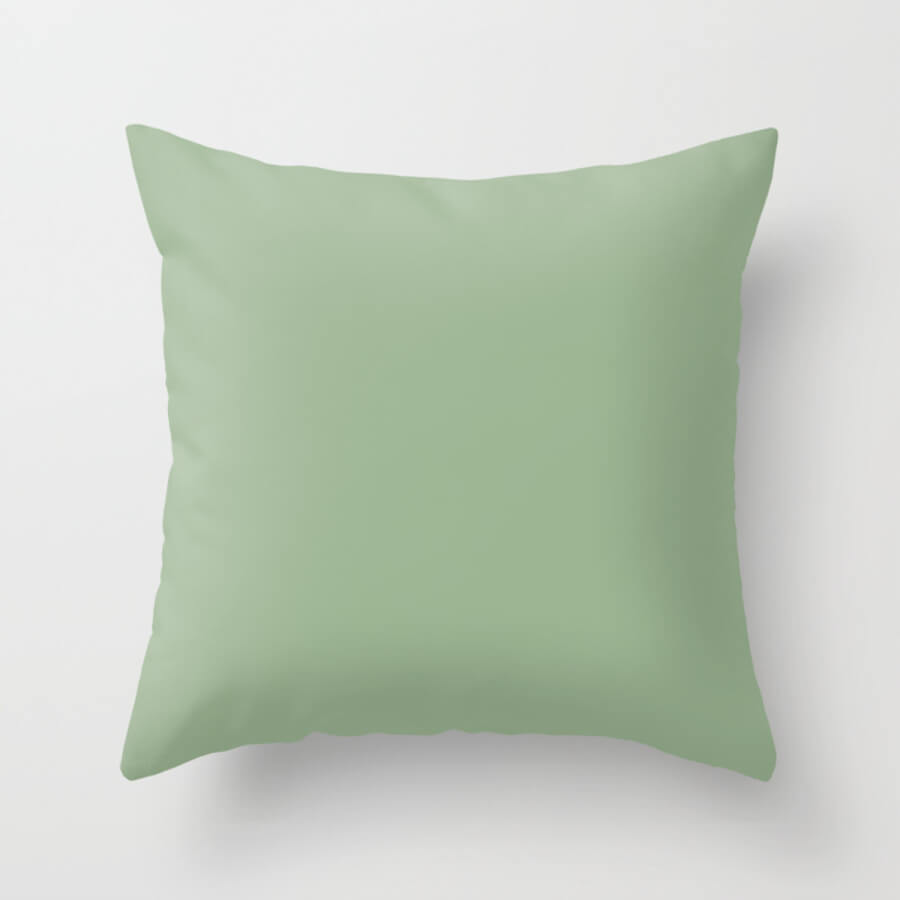 Sage Green Accent Pillows
