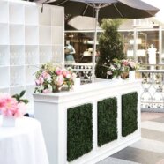 White Boxwood Bar