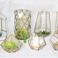 Gold Geometric Glass Terrariums